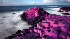 Organ donation week at Giant's Causeway 2021