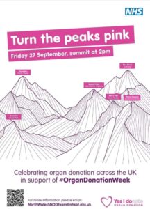 Turn the Peaks Pink